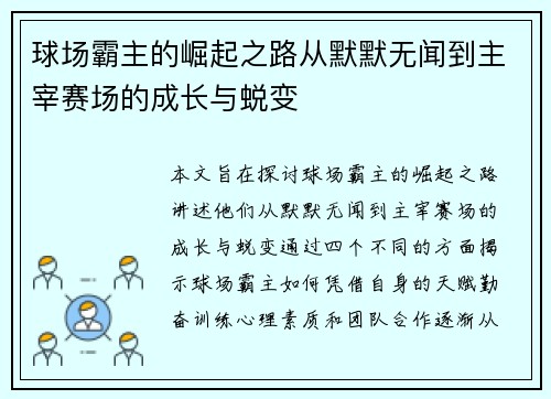 球场霸主的崛起之路从默默无闻到主宰赛场的成长与蜕变