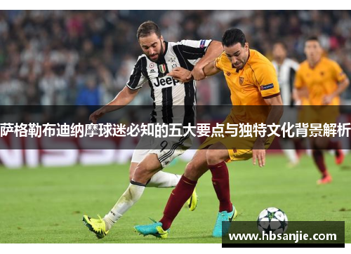 萨格勒布迪纳摩球迷必知的五大要点与独特文化背景解析 萨格勒布迪纳摩球迷必知的五大要点与独特文化背景解析